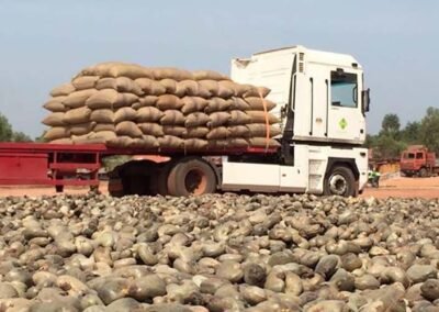 Exportação de castanha de cajú